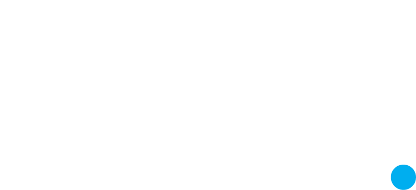 Level